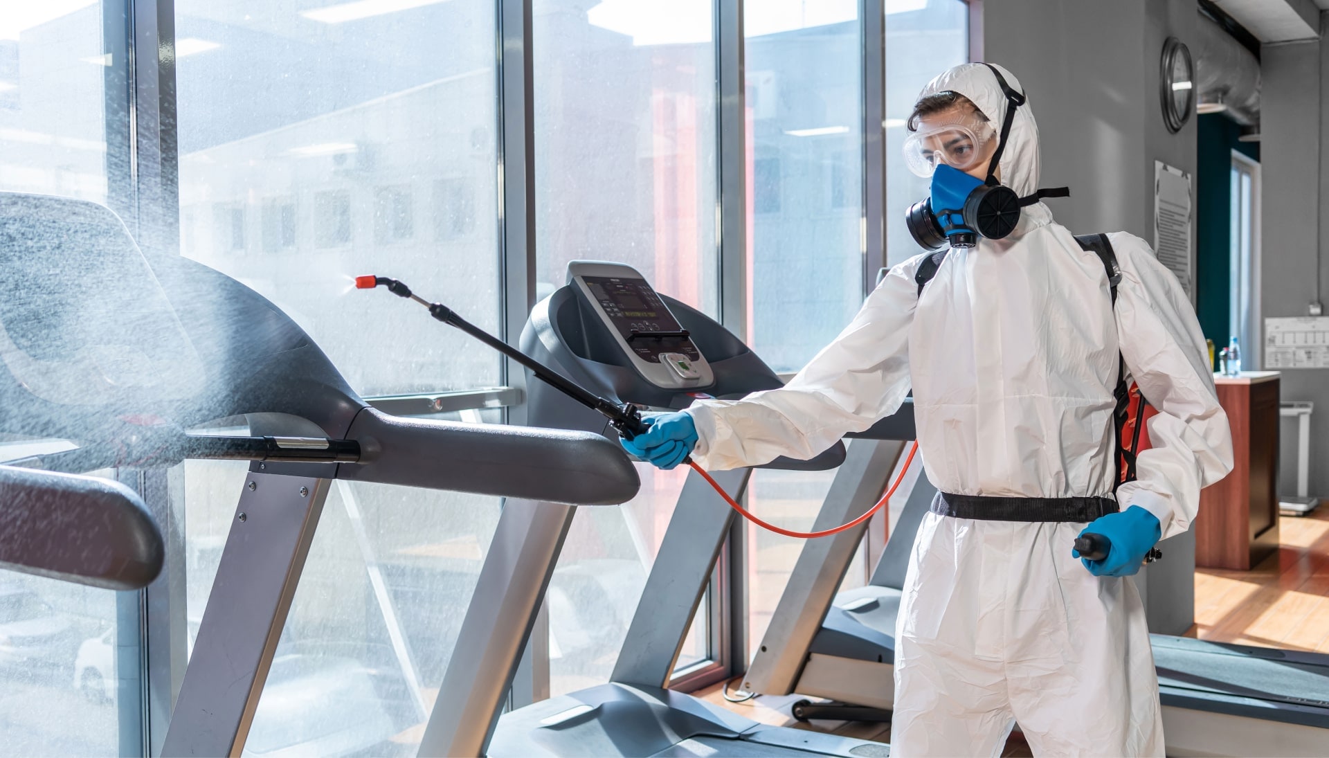 Commercial Mold Removal Services in Memphis