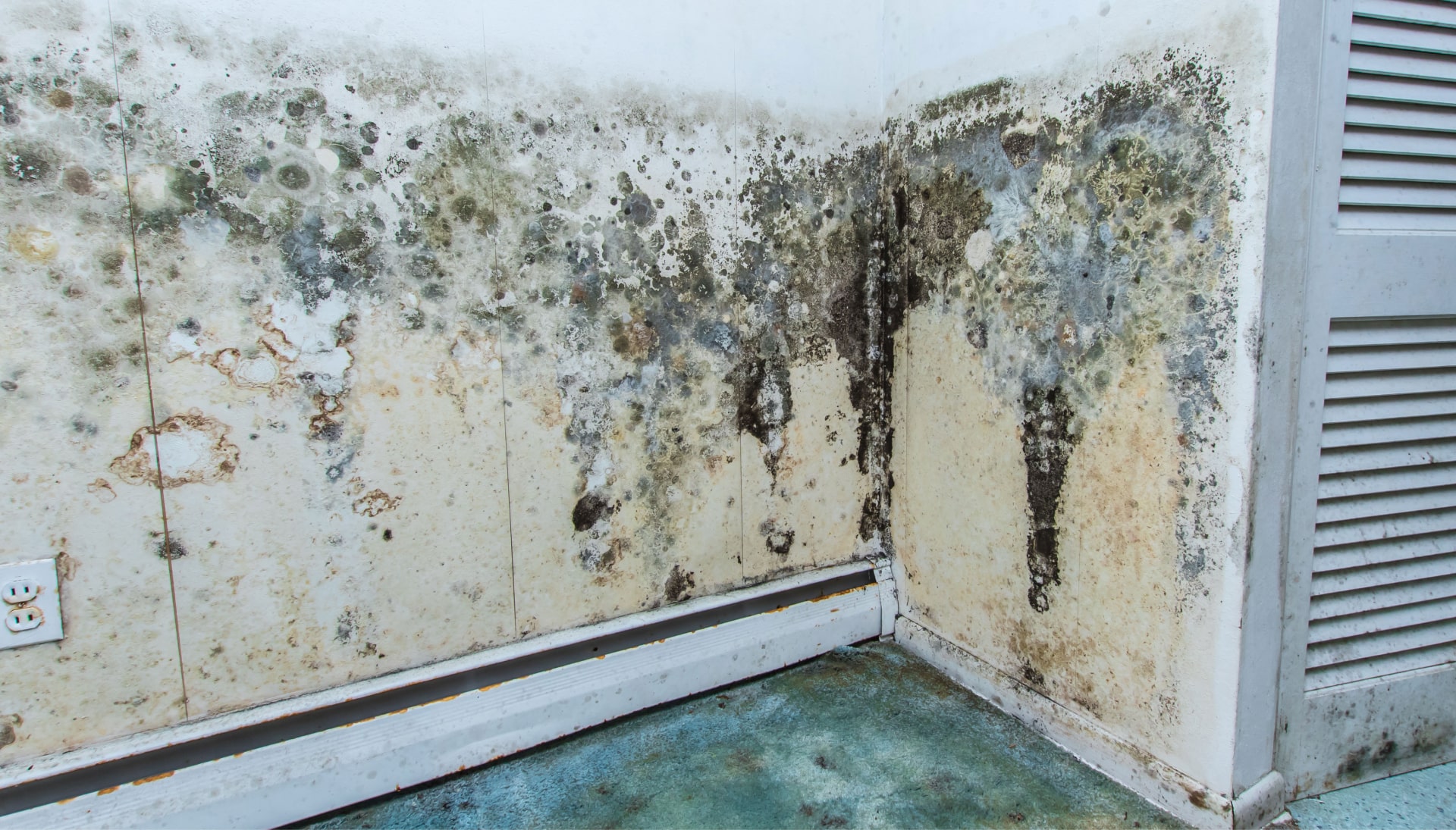 A mold remediation team using specialized techniques to remove mold damage and control odors in a Memphis property, with a focus on safety and efficiency